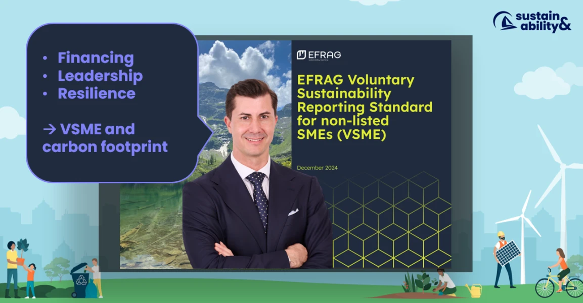 Vsme Report Example VSME sustainability reporting and Basel III